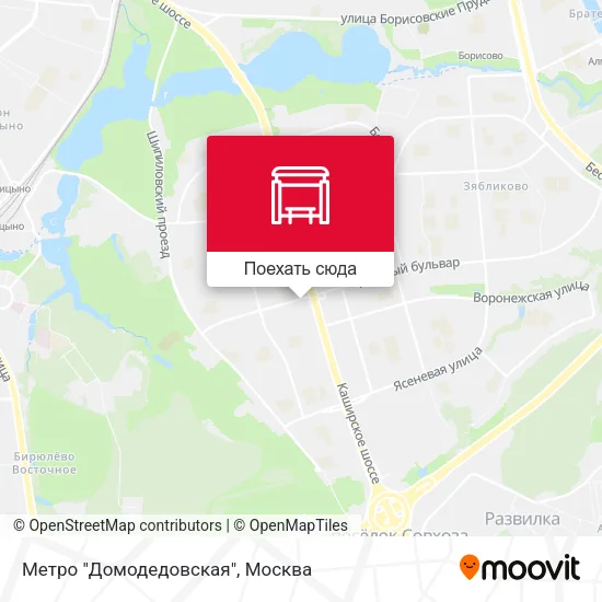 Карта Метро "Домодедовская"
