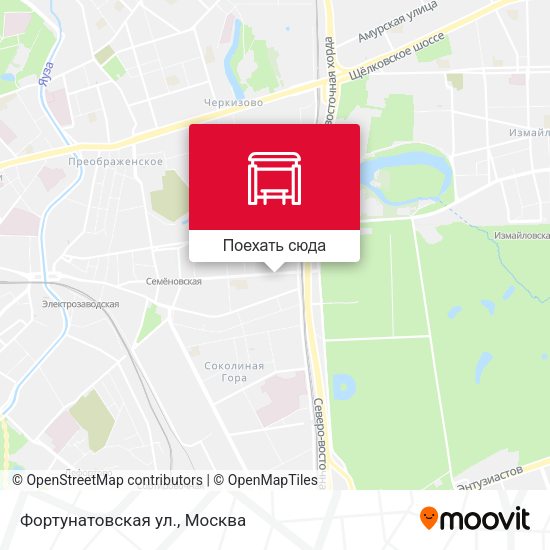 Карта Фортунатовская ул.