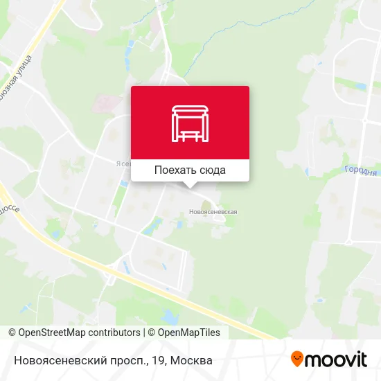 Карта Новоясеневский просп., 19