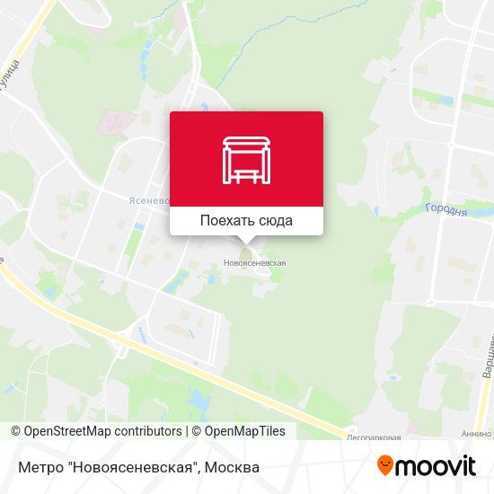 Карта Метро "Новоясеневская"