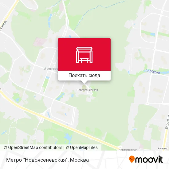 Карта Метро "Новоясеневская"