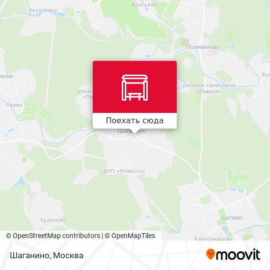 Карта Шаганино