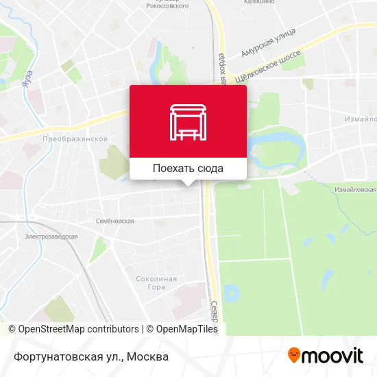 Карта Фортунатовская ул.