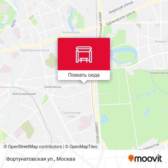 Карта Фортунатовская ул.