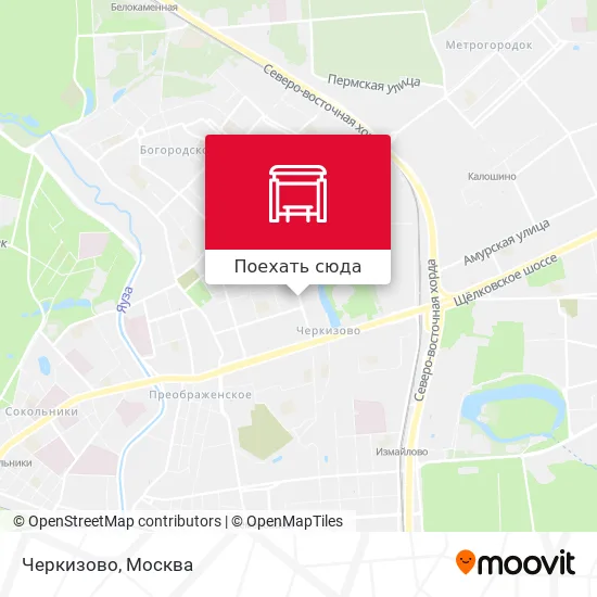 Карта Черкизово