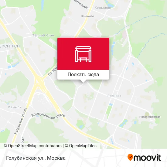 Карта Голубинская ул.