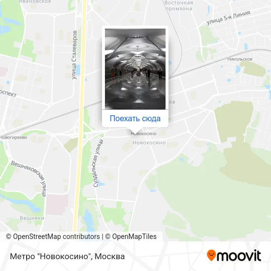 Карта Метро "Новокосино"