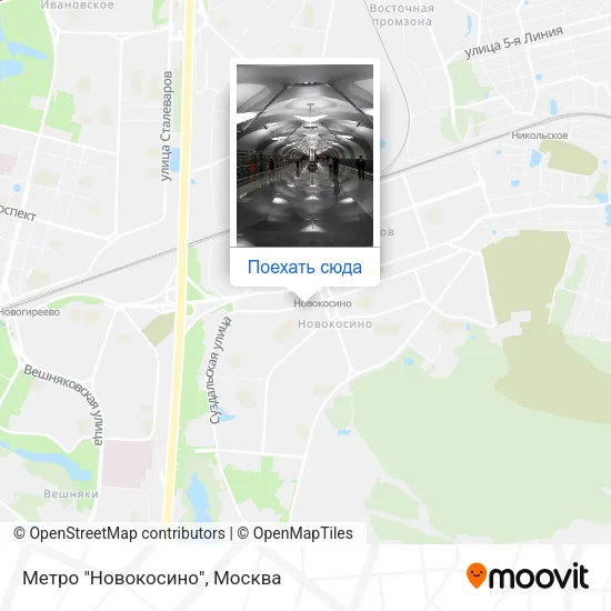 Карта Метро "Новокосино"