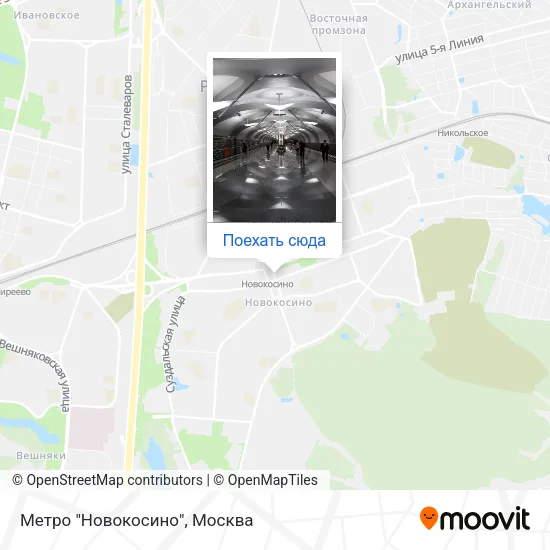 Карта Метро "Новокосино"