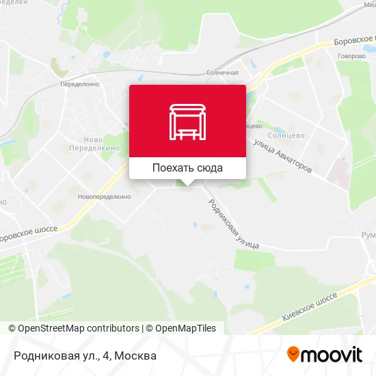 Карта Родниковая ул., 4
