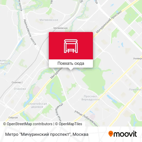 Карта Метро "Мичуринский проспект"