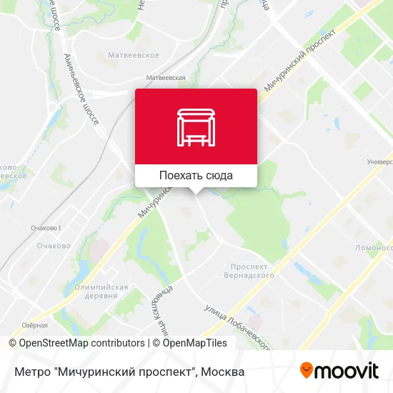 Карта Метро "Мичуринский проспект"