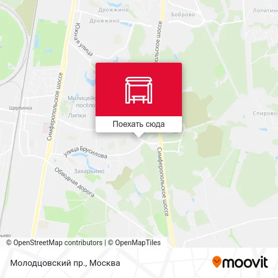 Карта Молодцовский пр.
