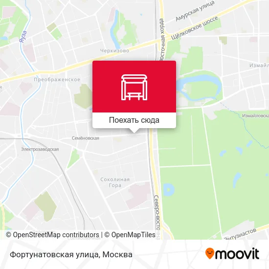 Карта Фортунатовская улица
