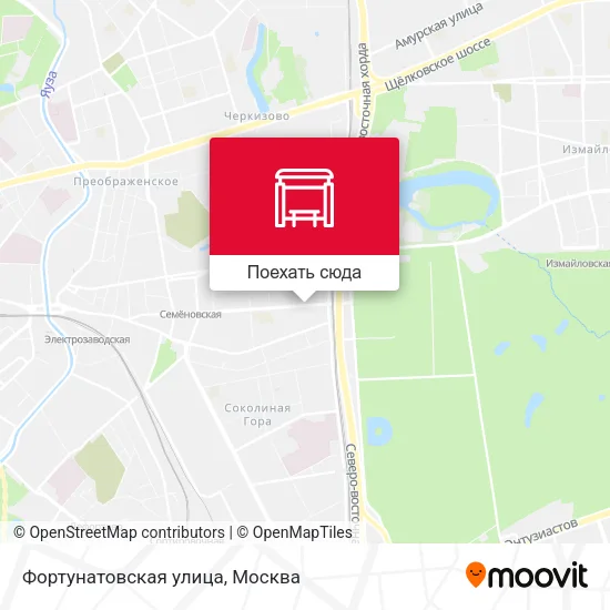 Карта Фортунатовская улица