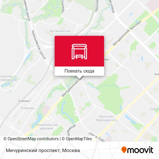 Карта Мичуринский проспект
