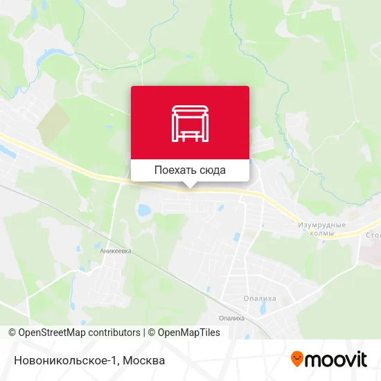 Карта Новоникольское-1