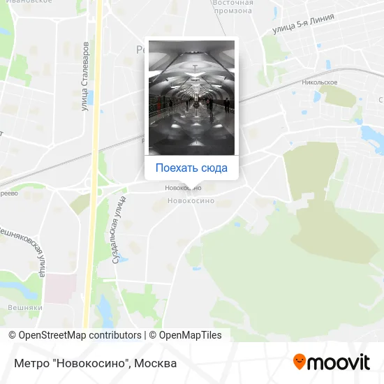 Карта Метро "Новокосино"