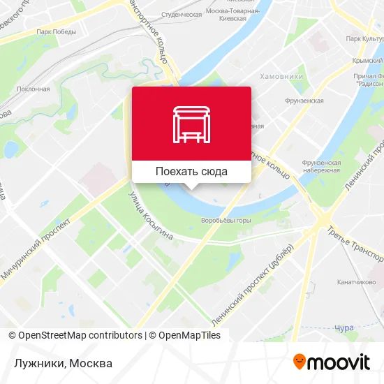 Карта Лужники