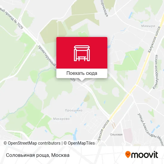 Карта Соловьиная роща