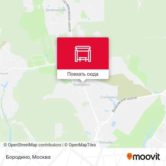 Карта Бородино