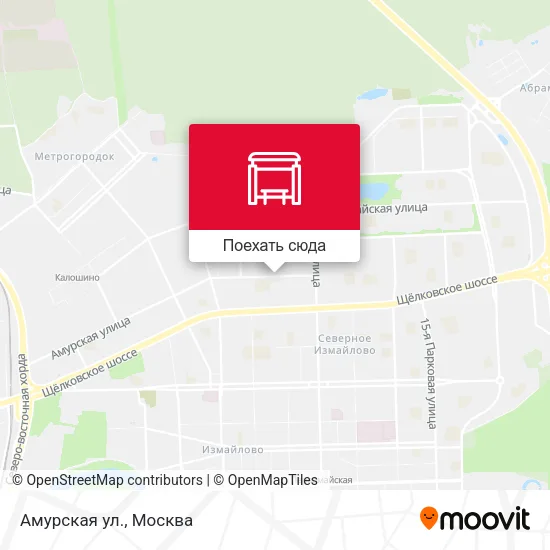 Карта Амурская ул.