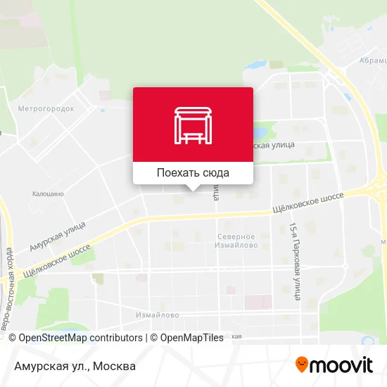 Карта Амурская ул.
