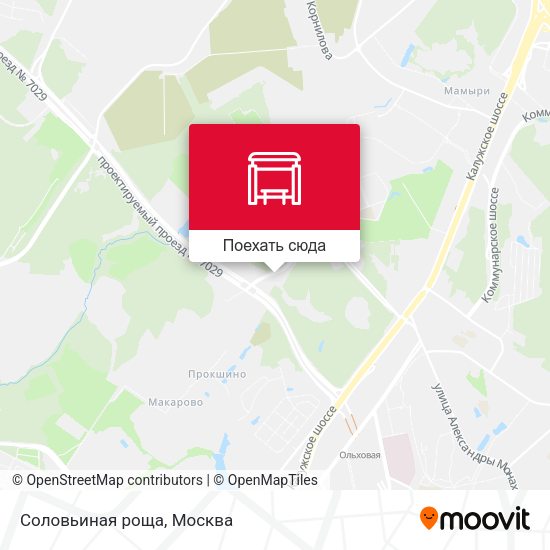 Карта Соловьиная роща