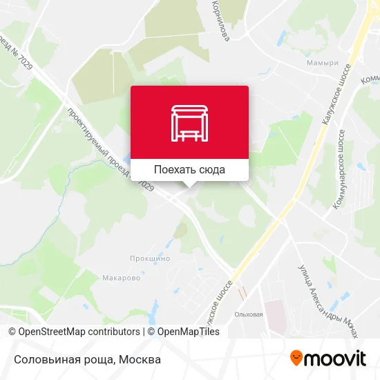 Карта Соловьиная роща