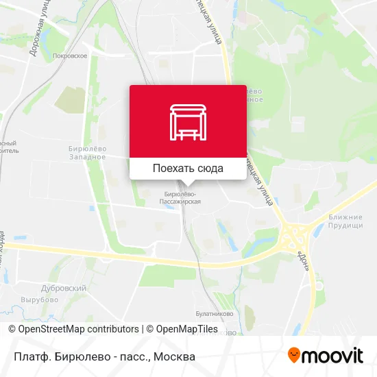 Карта Платф. Бирюлево - пасс.