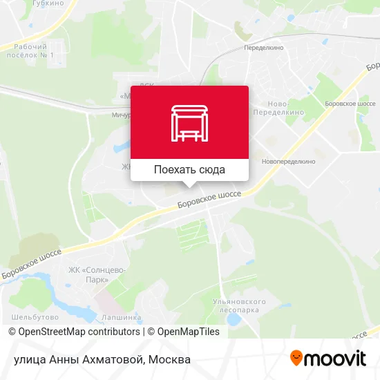 Карта улица Анны Ахматовой