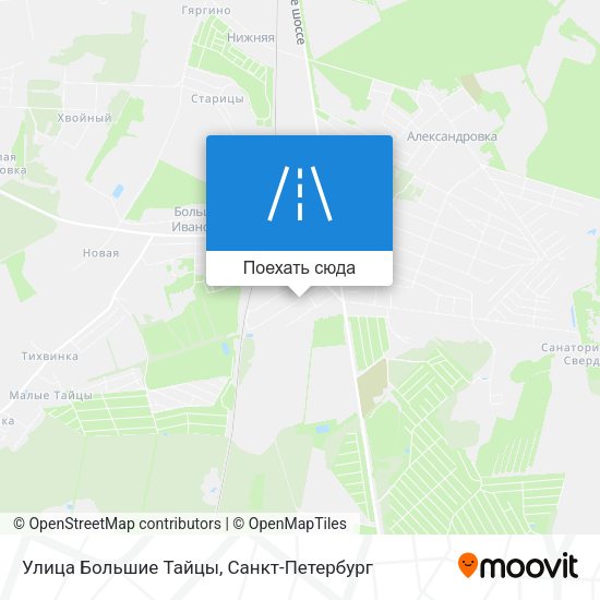 Карта Улица Большие Тайцы