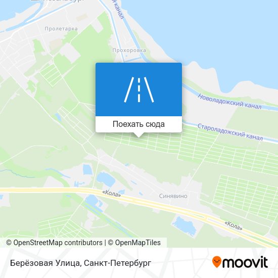 Карта Берёзовая Улица