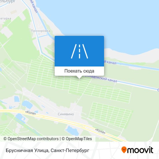 Карта Брусничная Улица