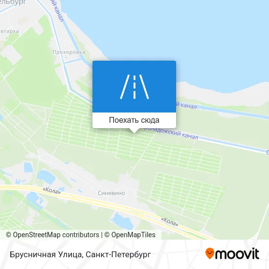 Карта Брусничная Улица