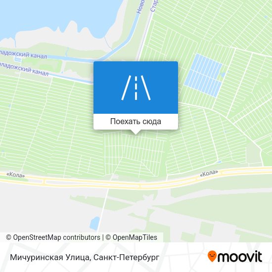 Карта Мичуринская Улица