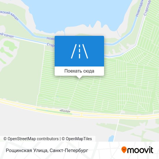 Карта Рощинская Улица