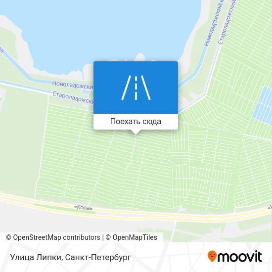Карта Улица Липки