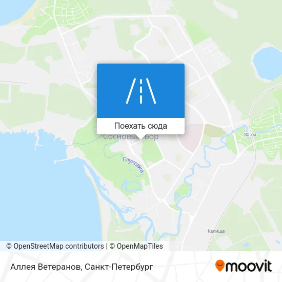Карта Аллея Ветеранов