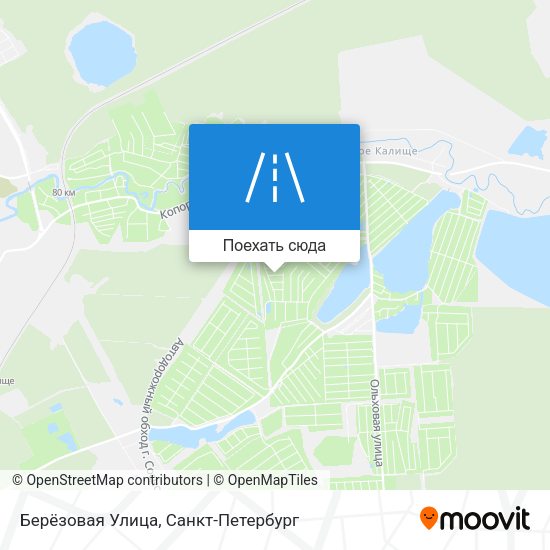 Карта Берёзовая Улица