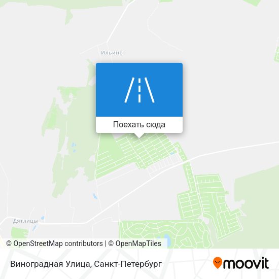 Карта Виноградная Улица
