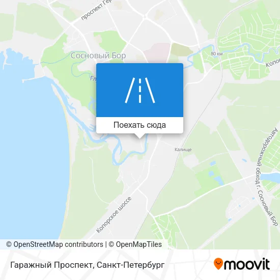 Карта Гаражный Проспект