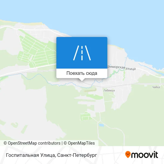 Карта Госпитальная Улица