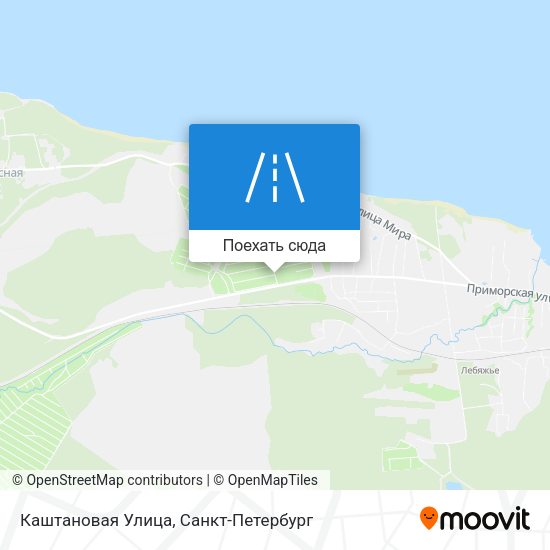 Карта Каштановая Улица