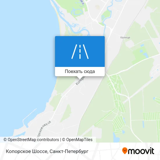 Карта Копорское Шоссе