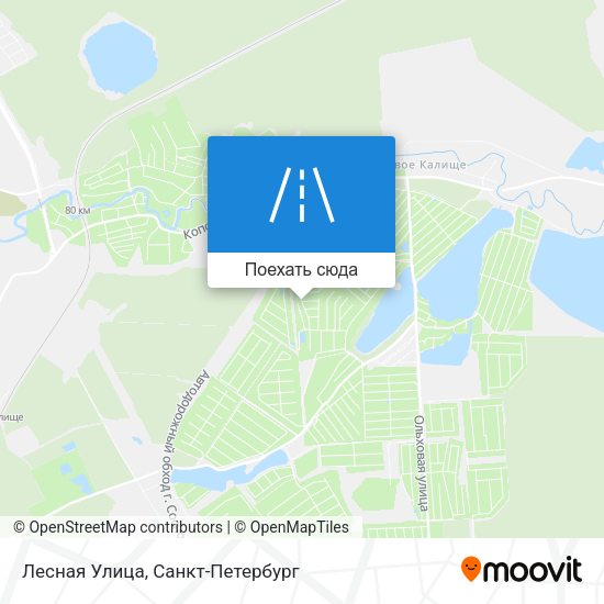 Карта Лесная Улица