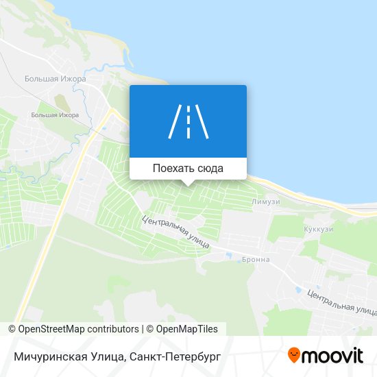 Карта Мичуринская Улица