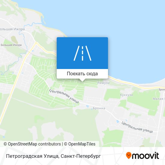 Карта Петроградская Улица