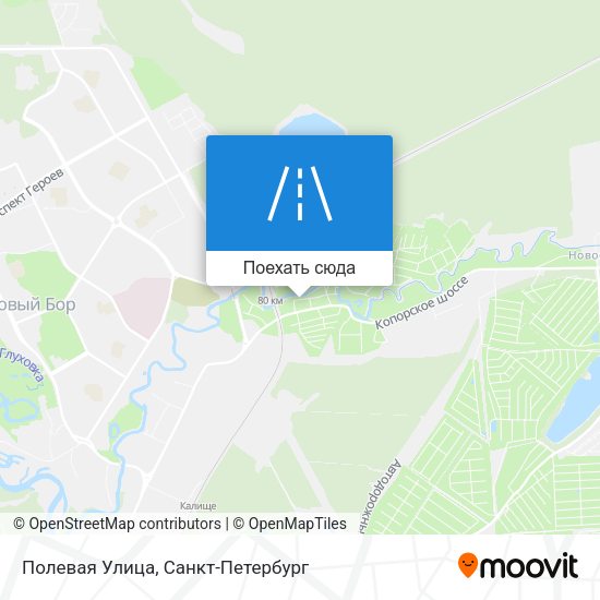 Карта Полевая Улица