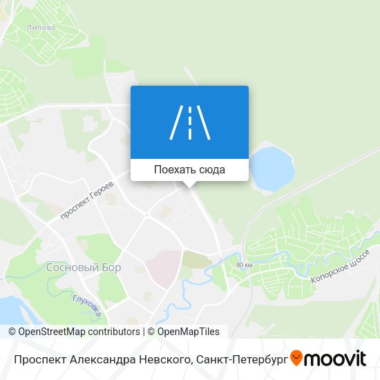 Карта Проспект Александра Невского